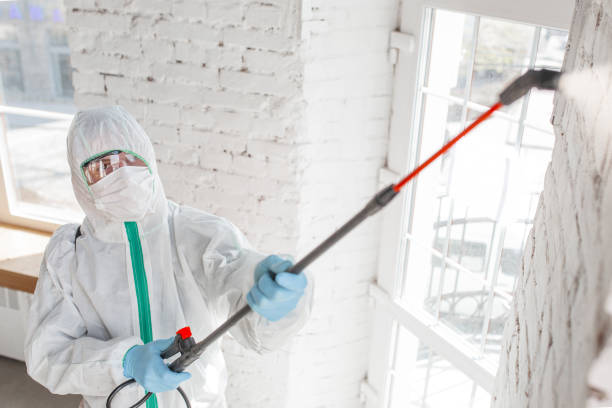 Best Attic Mold Removal  in Nixon, PA