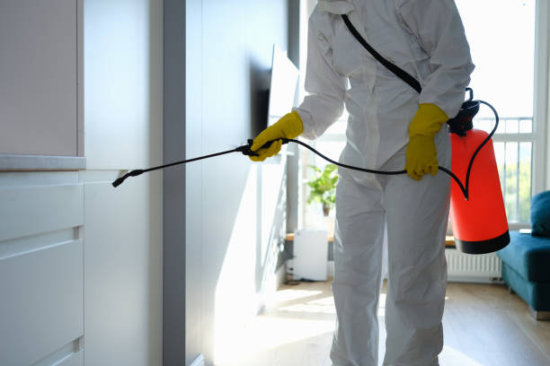 Best Basement Mold Removal  in Nixon, PA